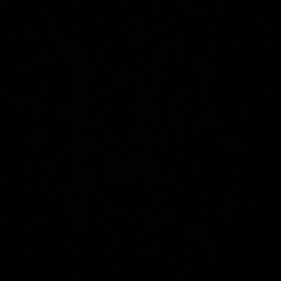 Meet your Posher, Darnell - Picture 1 of 1